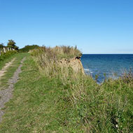 Bike_Excursion_Kamenjak
