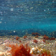 Boat_Excursion_Brijuni_2