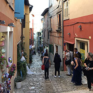 Boat_Excursion_Novigrad_4