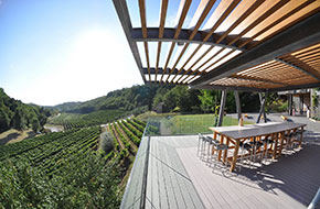 excursion_wine_tasting_Istria_3