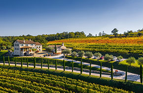 excursion_wine_tasting_Istria_4