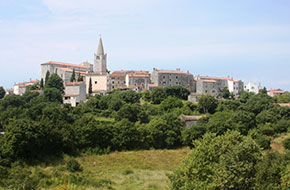 Walking_excursion_Bale_3