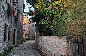 Walking_excursion_Bale_4