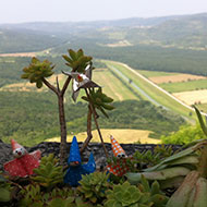 Walking_excursion_Motovun