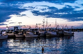 Walking_excursion_Umag_4